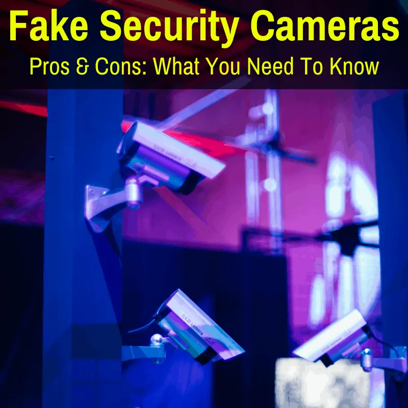 pros and cons of dummy security cameras