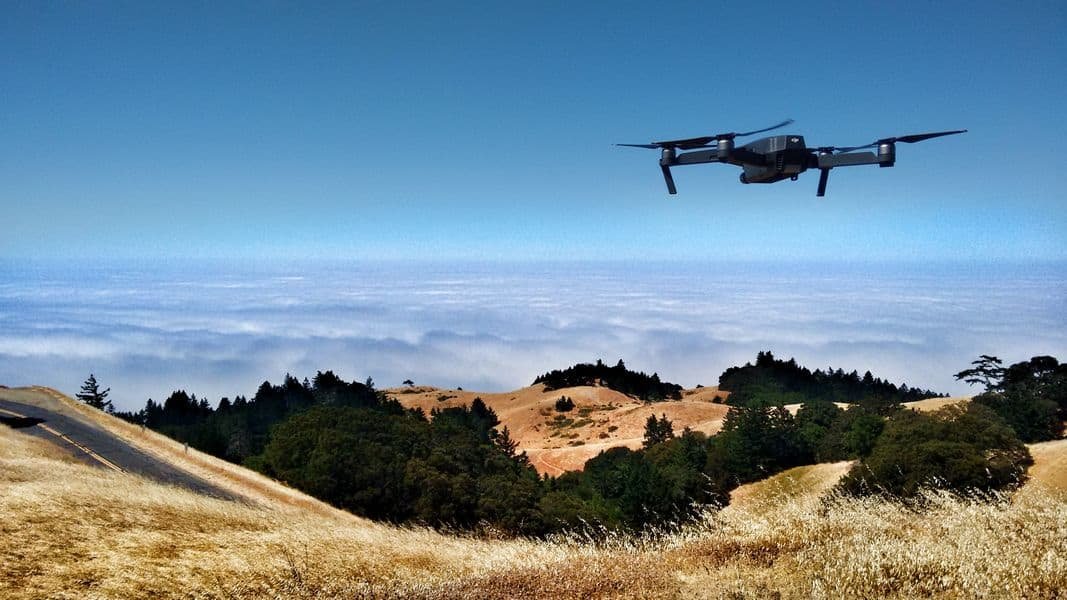 Drone flying over nature looking for animals