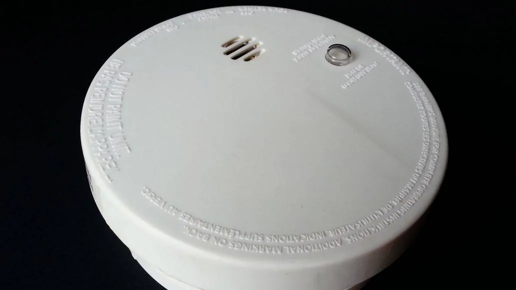 Smoke detector nanny cam