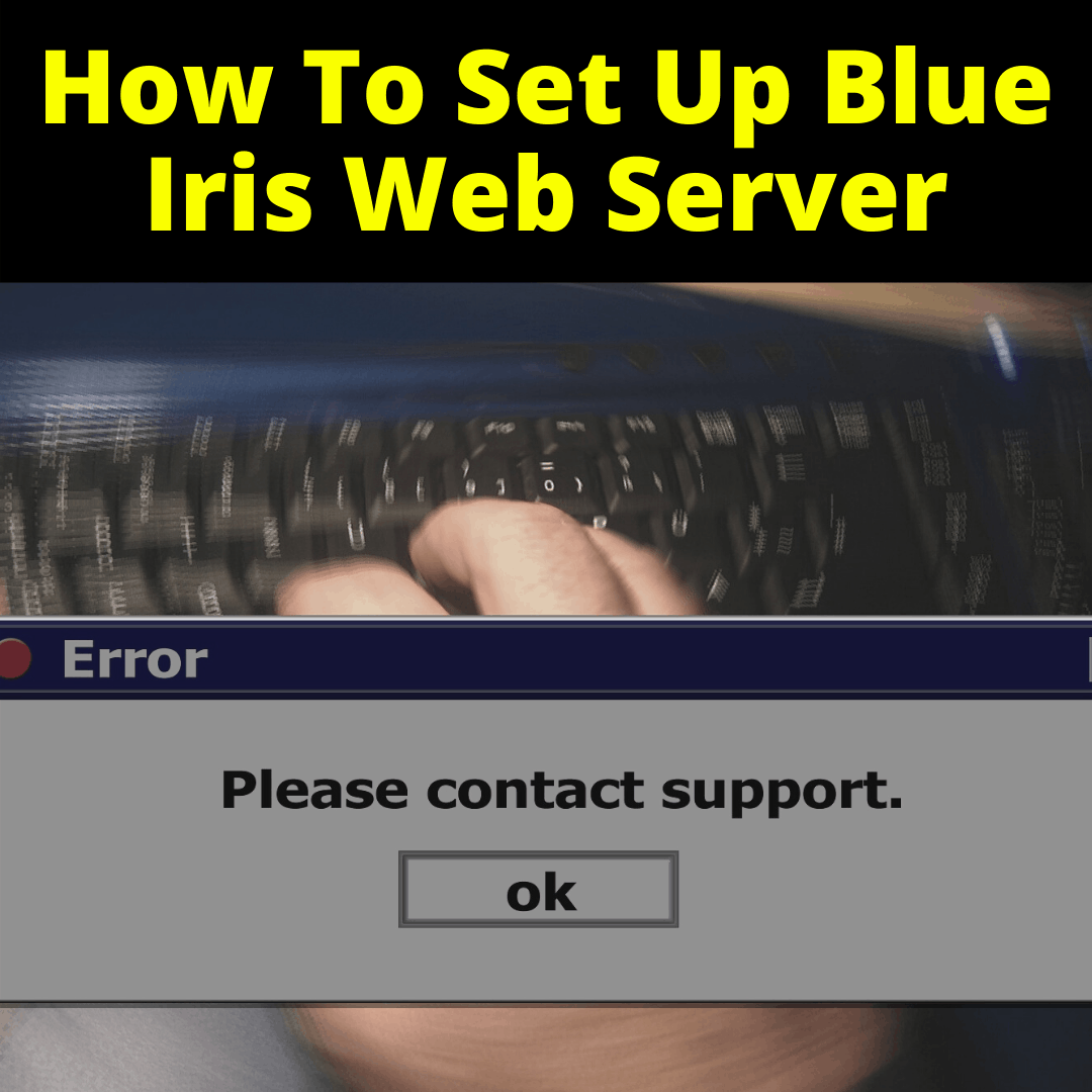 How To Set Up Blue Iris Web Server